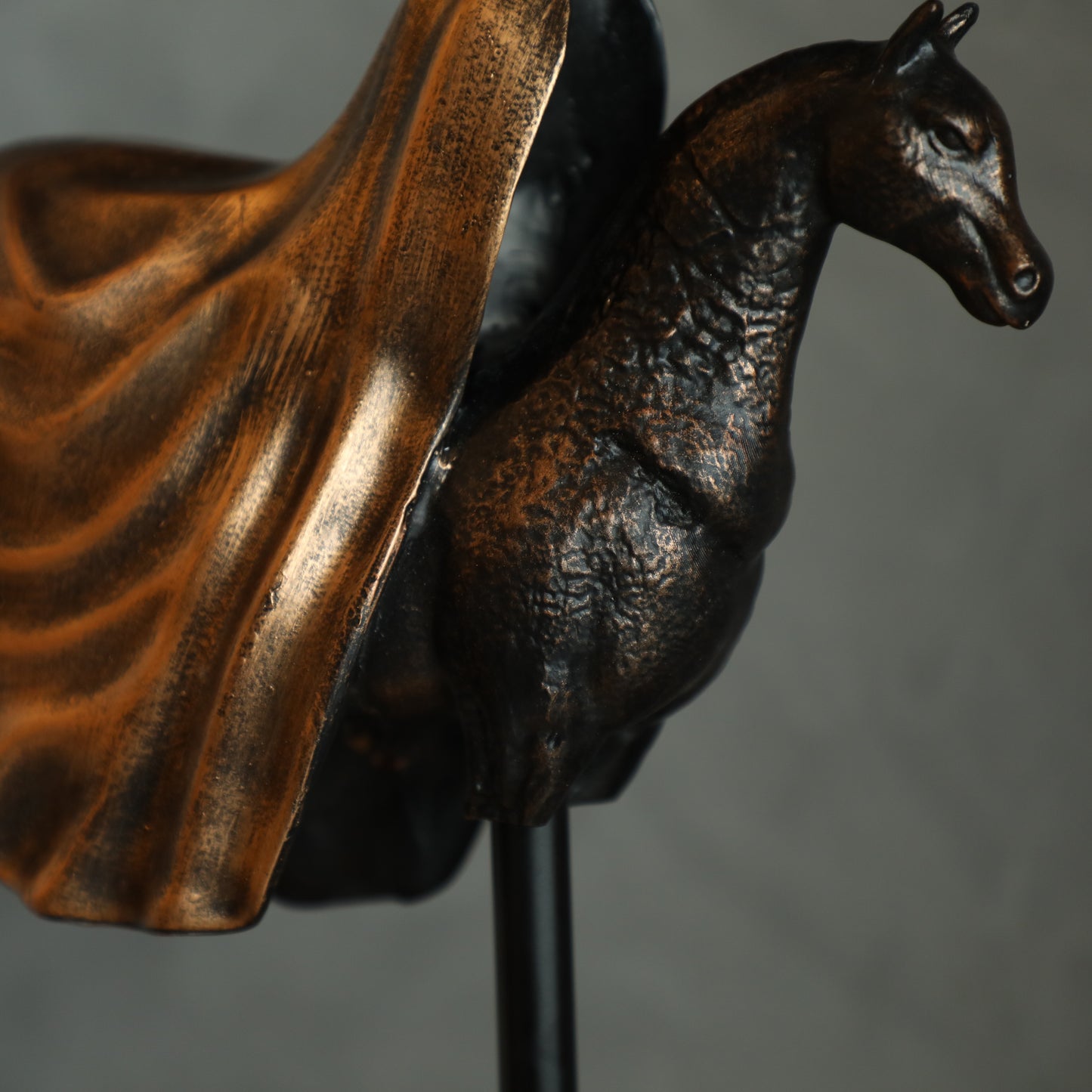 Riding on the Horse